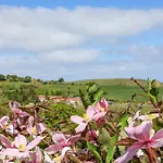 Wayside Farm Cart