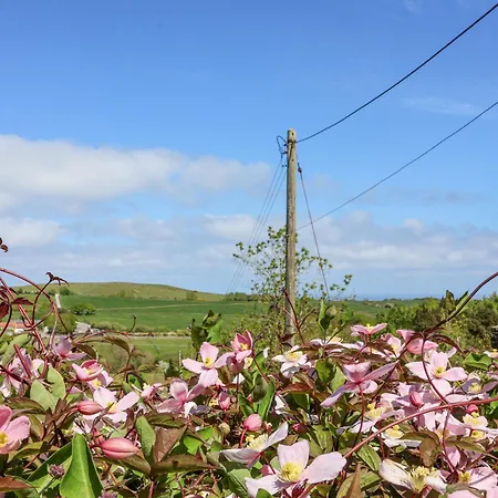 Wayside Farm Cart * Scarborough