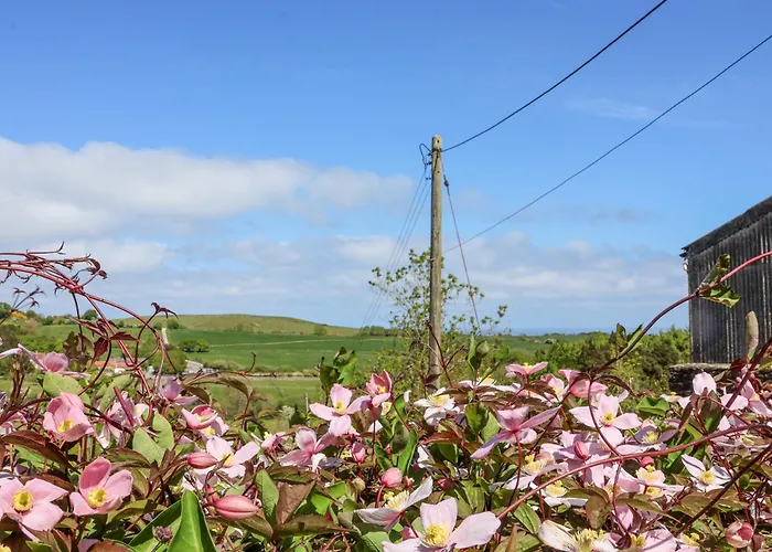Wayside Farm Cart * Скарборо